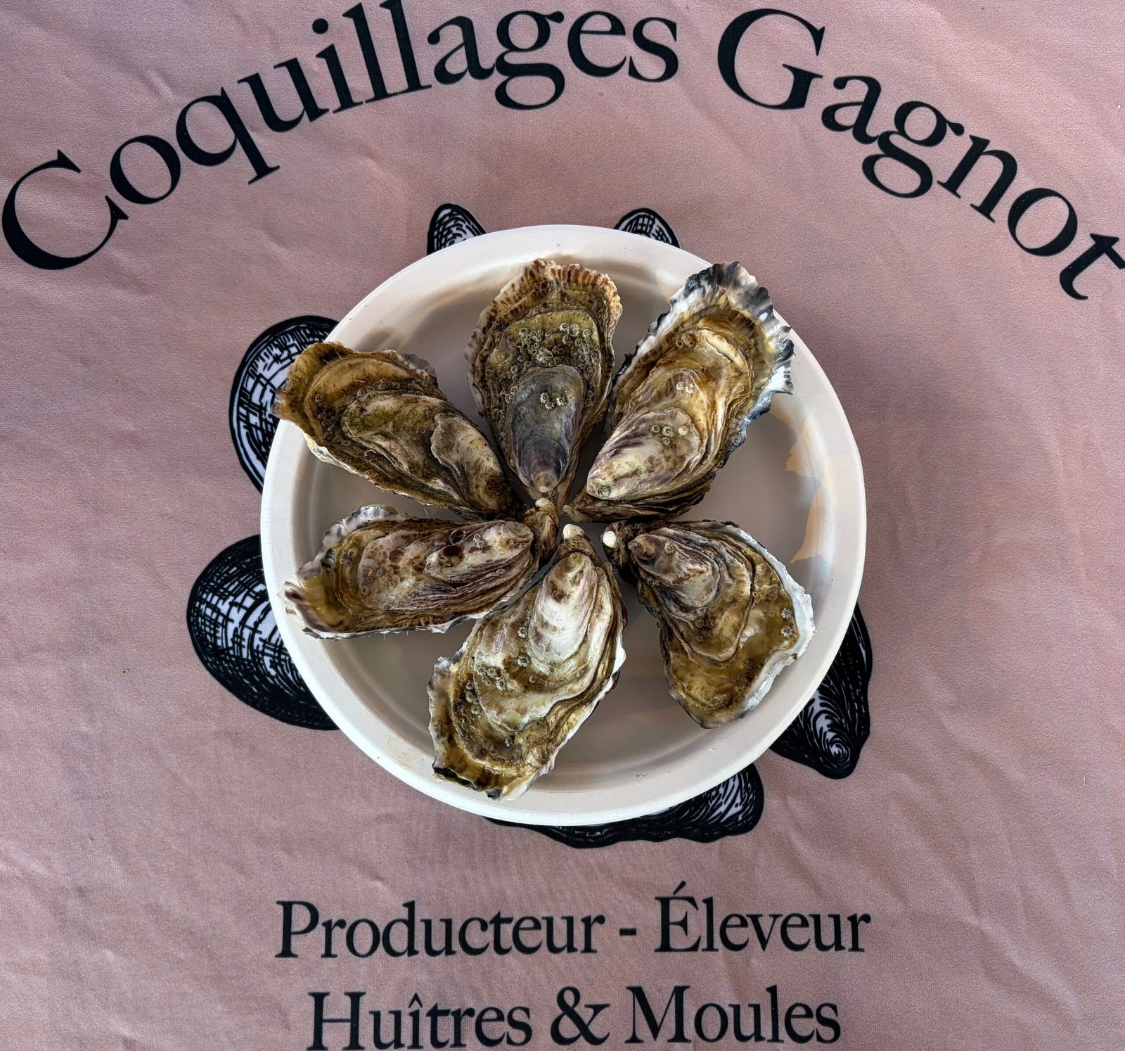 Huîtres Charnues de Tamaris